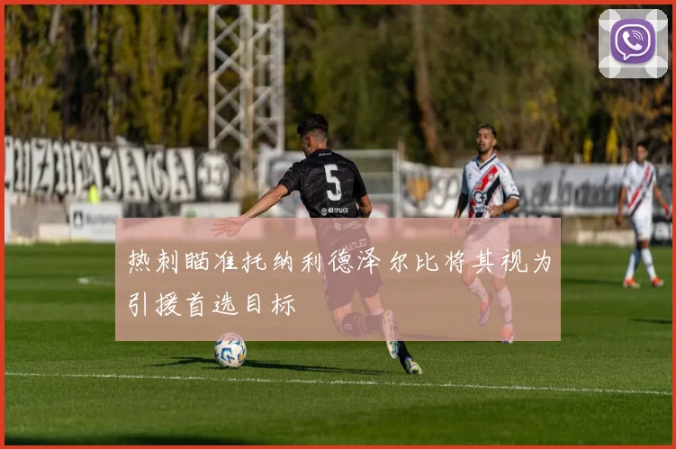 热刺瞄准托纳利德泽尔比将其视为引援首选目标