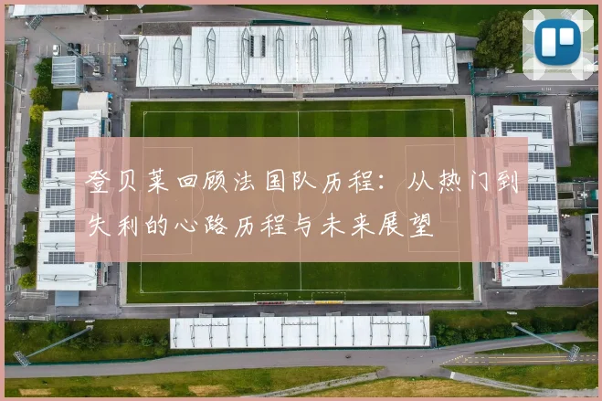 登贝莱回顾法国队历程：从热门到失利的心路历程与未来展望